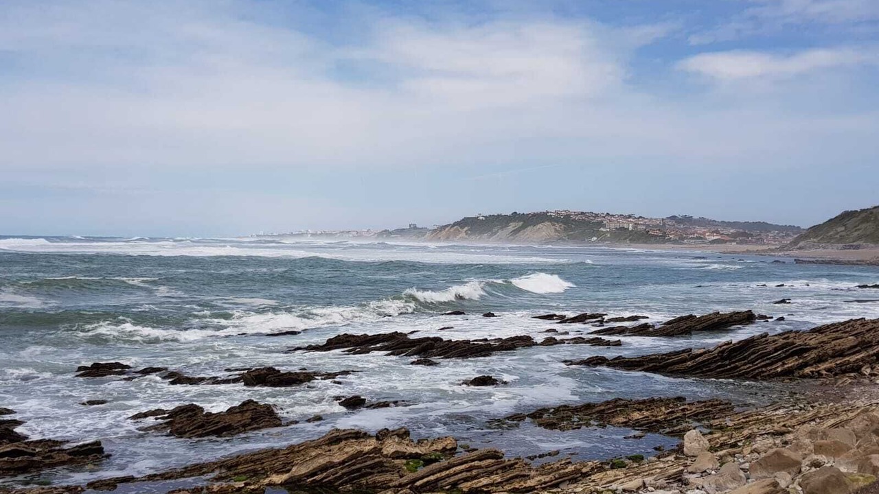 Photo of Others in Lasse