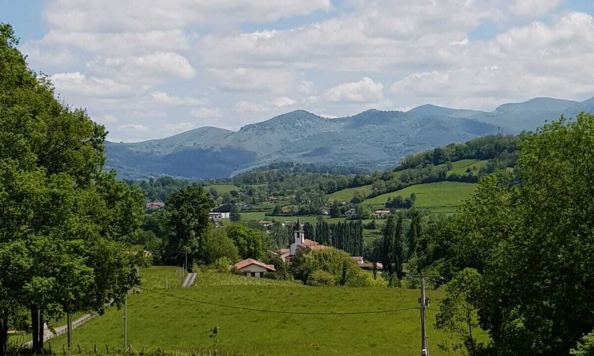 Photo of Others in Lasse