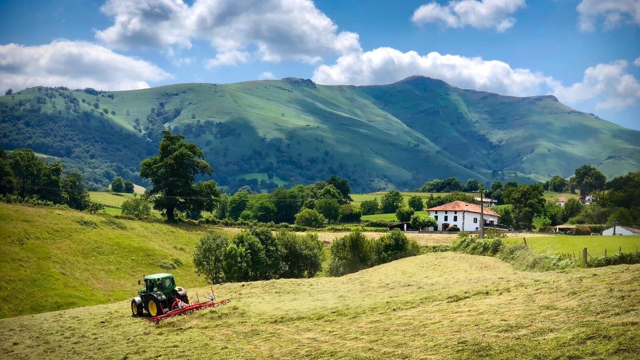 Photo of Others in Lasse