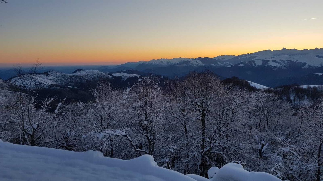 Photo of Others in Lasse