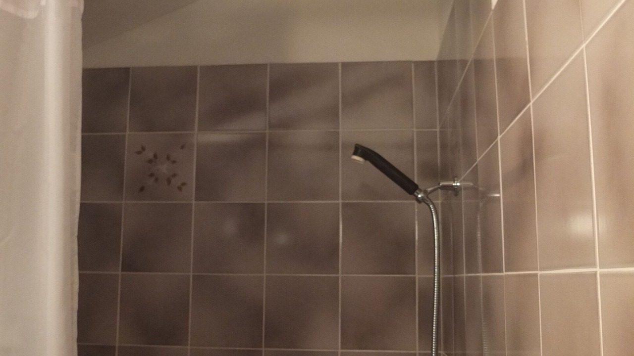 Photo of Bathroom in Samedan