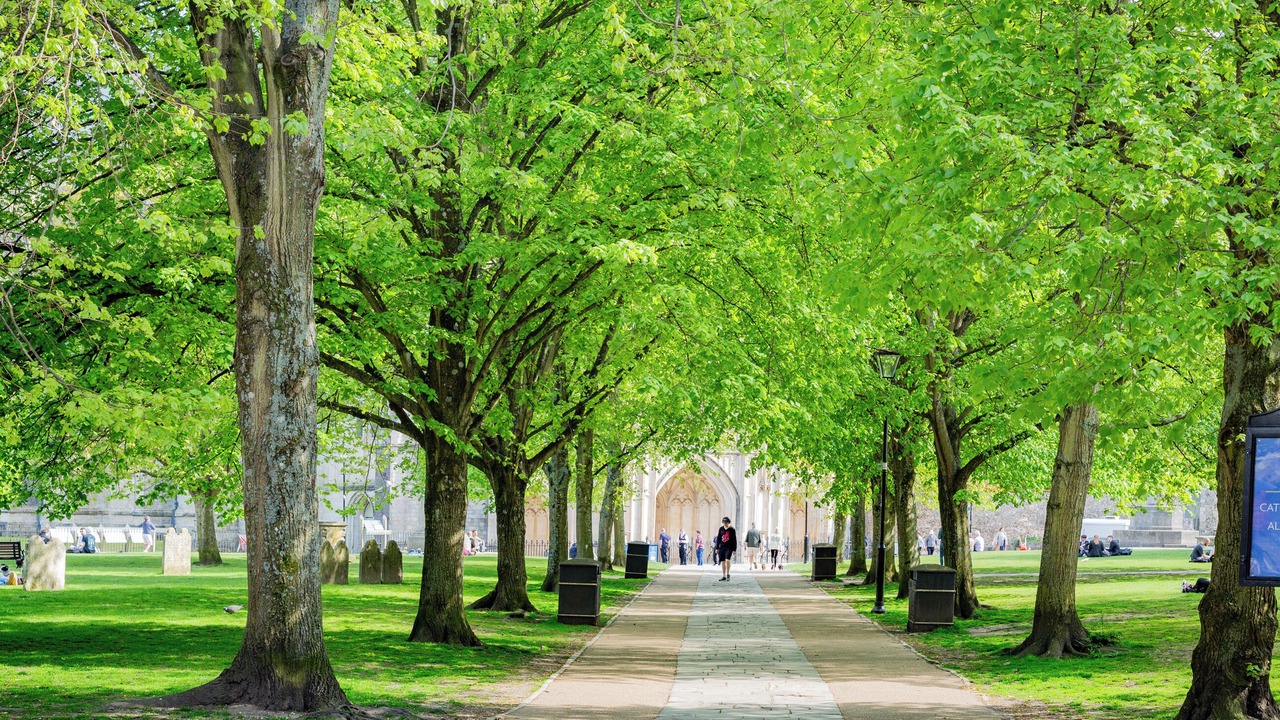 Photo of Others in Winchester