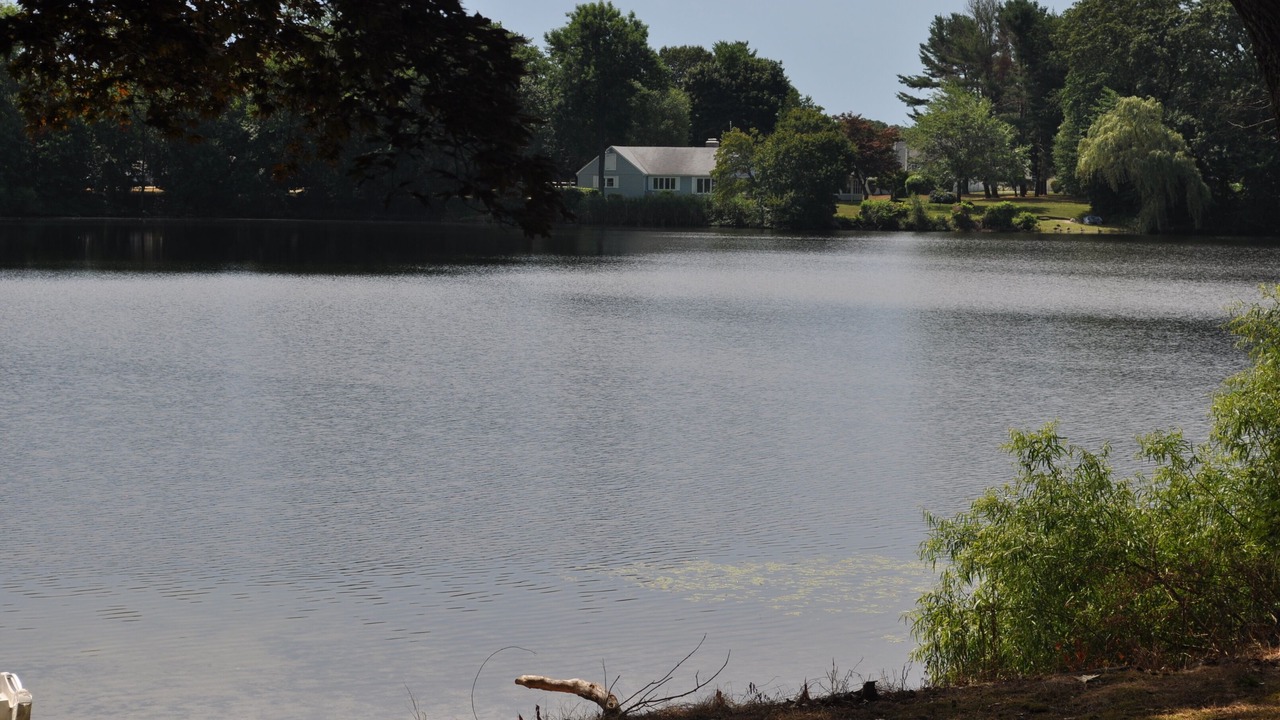 Photo of Others in Warwick