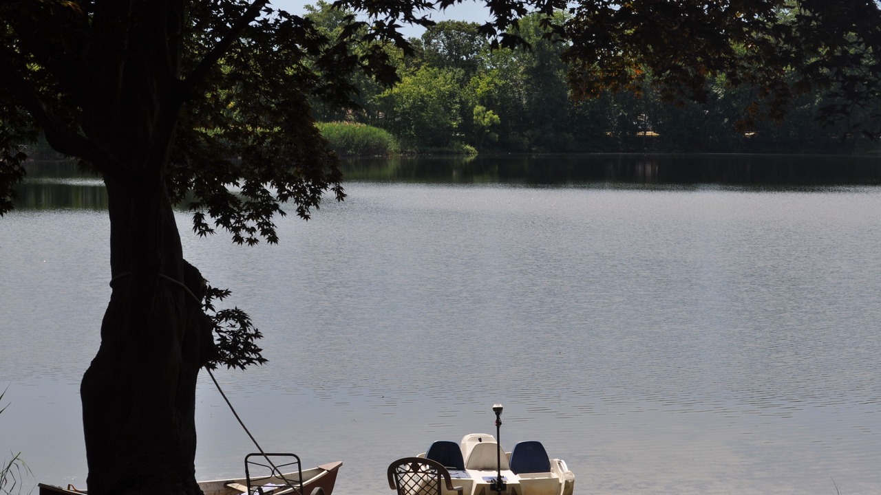 Photo of Others in Warwick