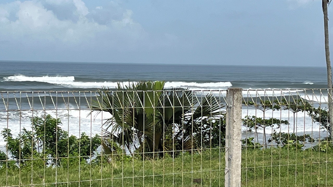 Photo of Others in West Selemadeg