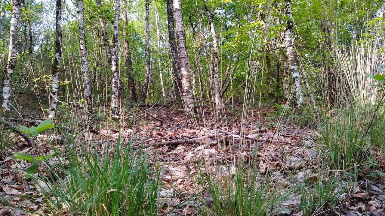 Photo of Outdoor in Quessoy