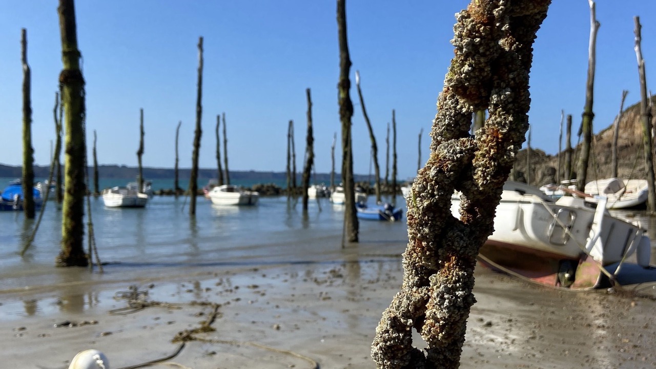 Photo of Others in Quessoy