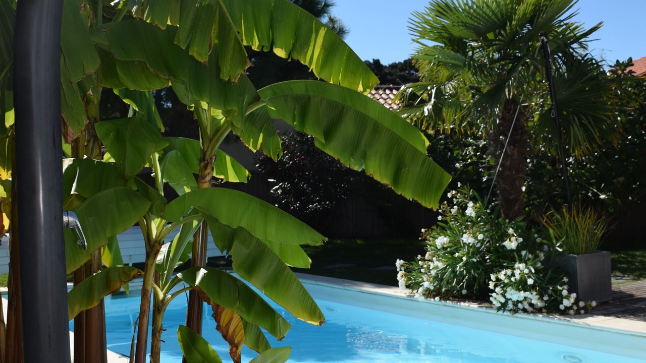 Photo of Outdoor in La Bernerie-en-Retz