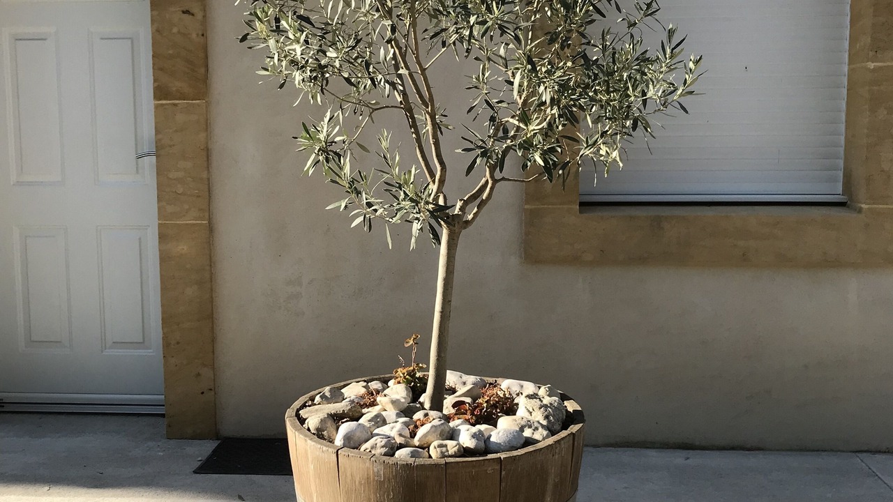 Photo of Outdoor in Salleles-d'Aude