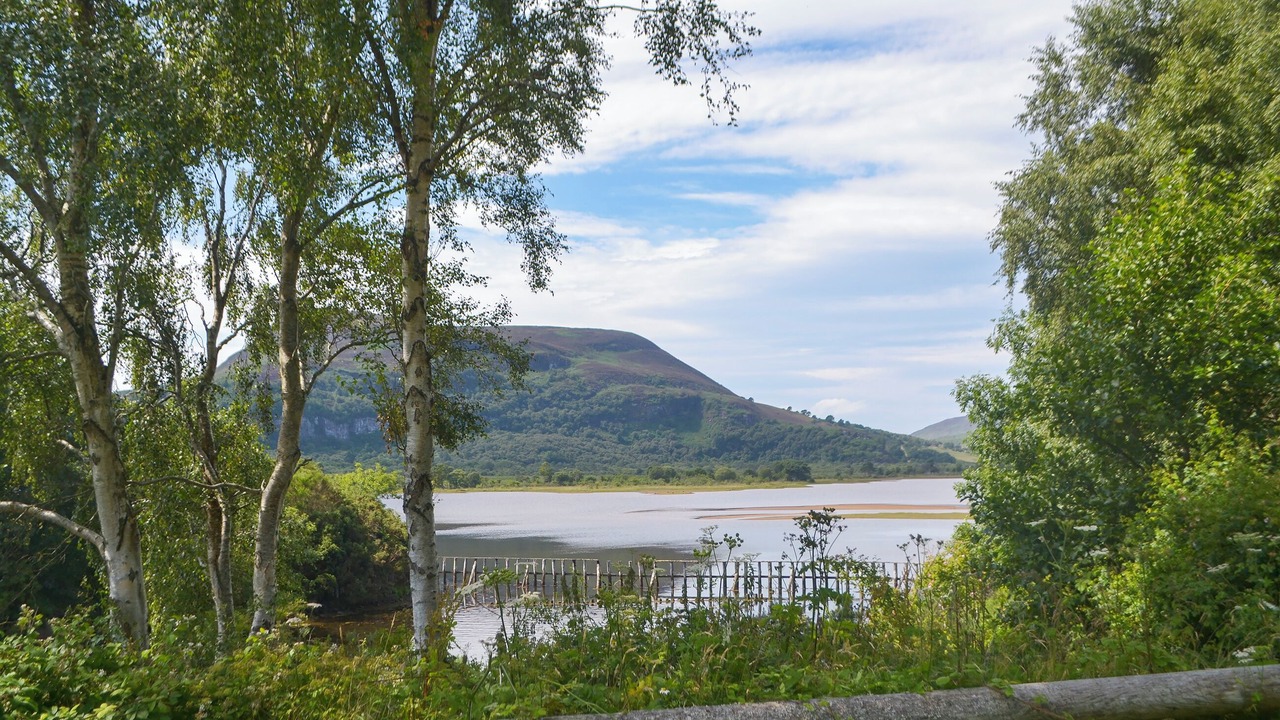 Photo of Others in Dornoch