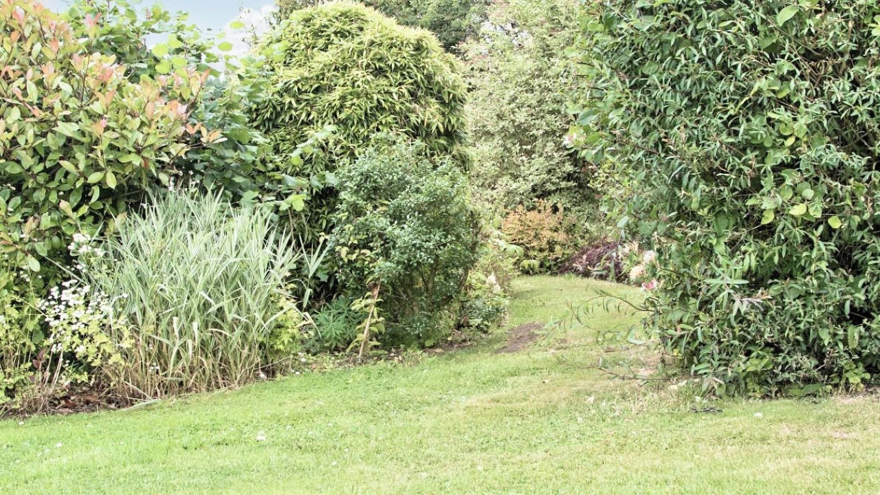 Photo of Others in Mauchline