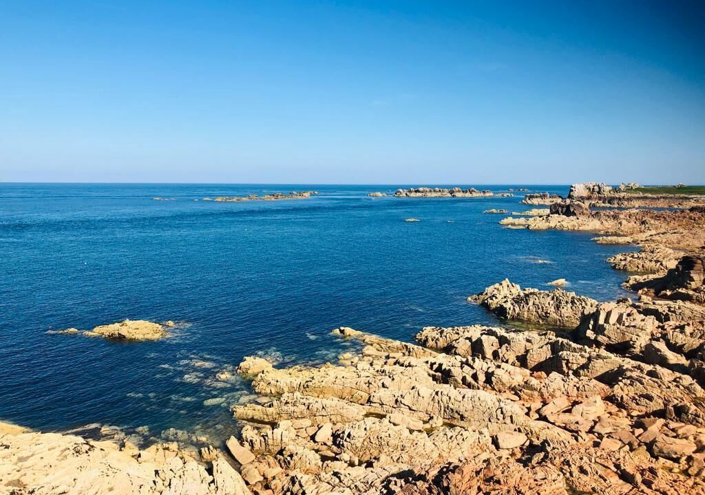 Photo of Others in Ile-de-Brehat