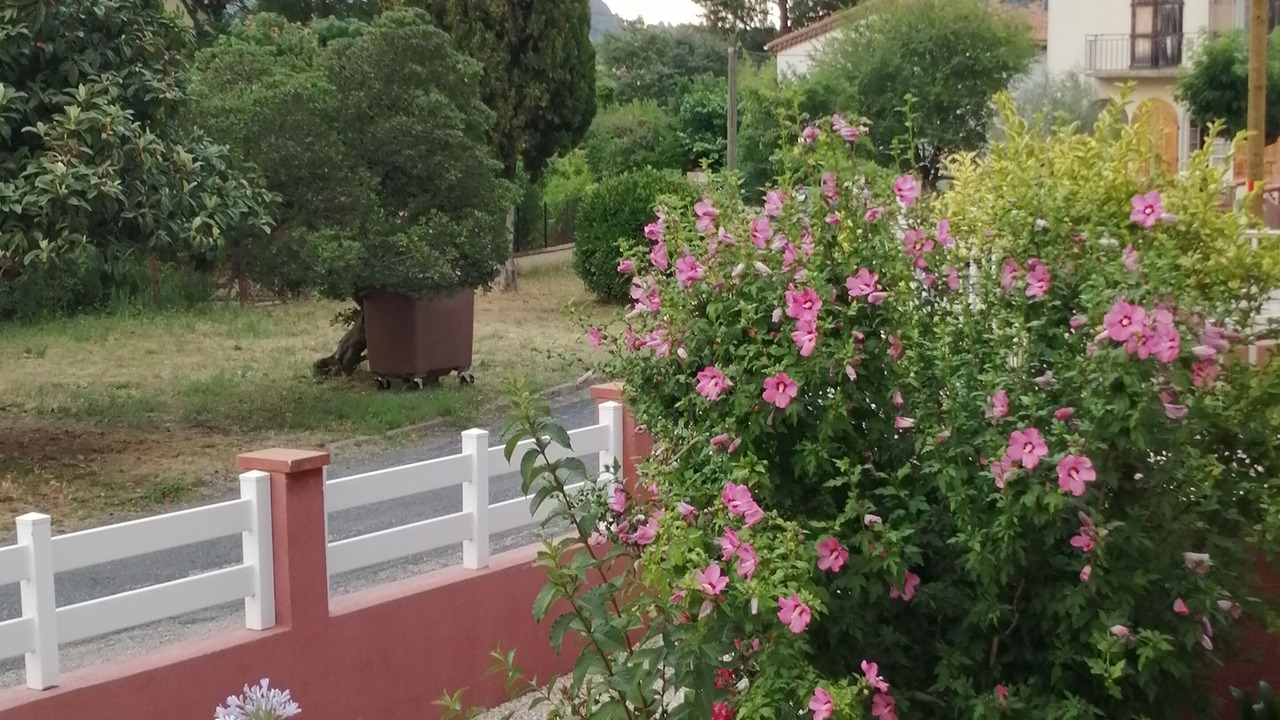 Photo of Outdoor in Arles-sur-Tech