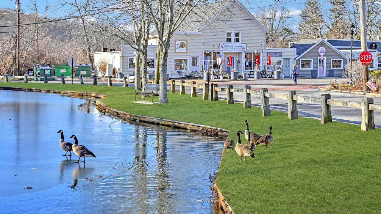 Photo of Others in Baiting Hollow