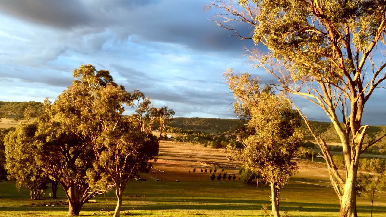Photo of Others in Kains Flat