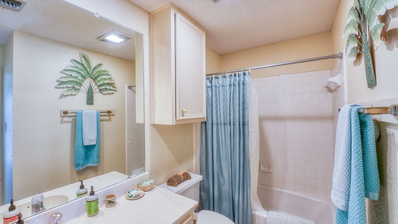 Photo of Bathroom in Horseshoe Bay