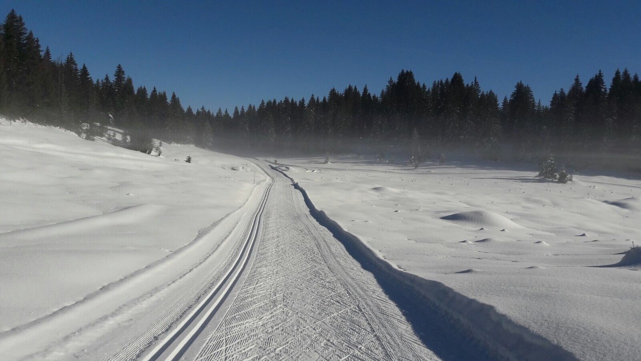 Photo of Others in Foncine-le-Haut