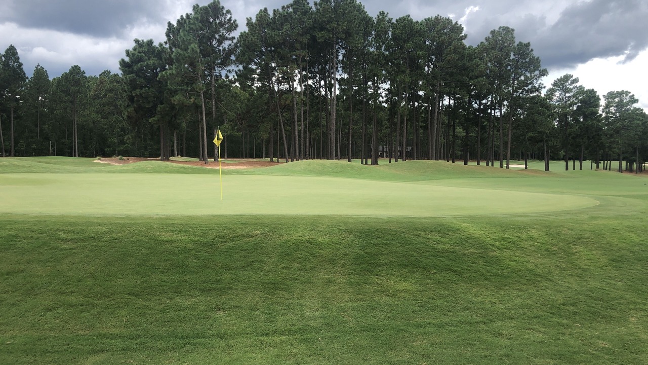 Photo of Others in Southern Pines