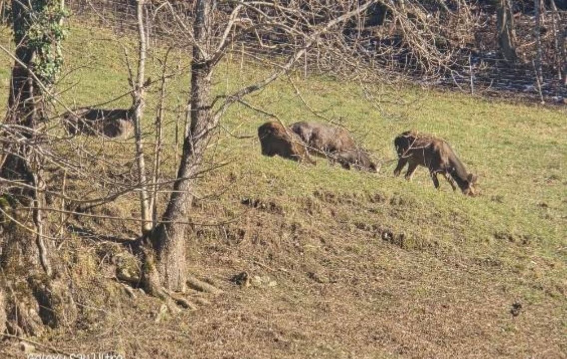 Photo of Others in Estarvielle