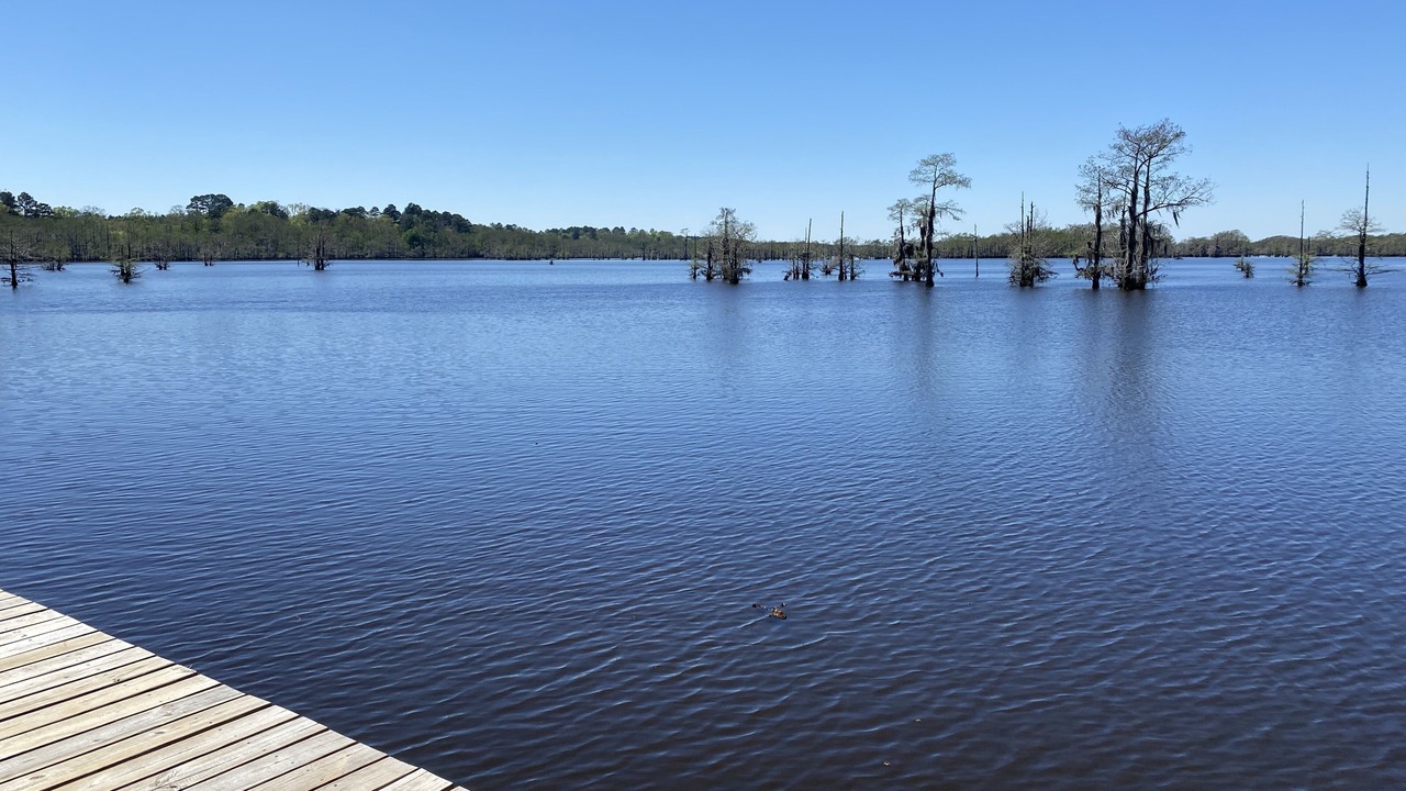 Photo of Outdoor in Taylor
