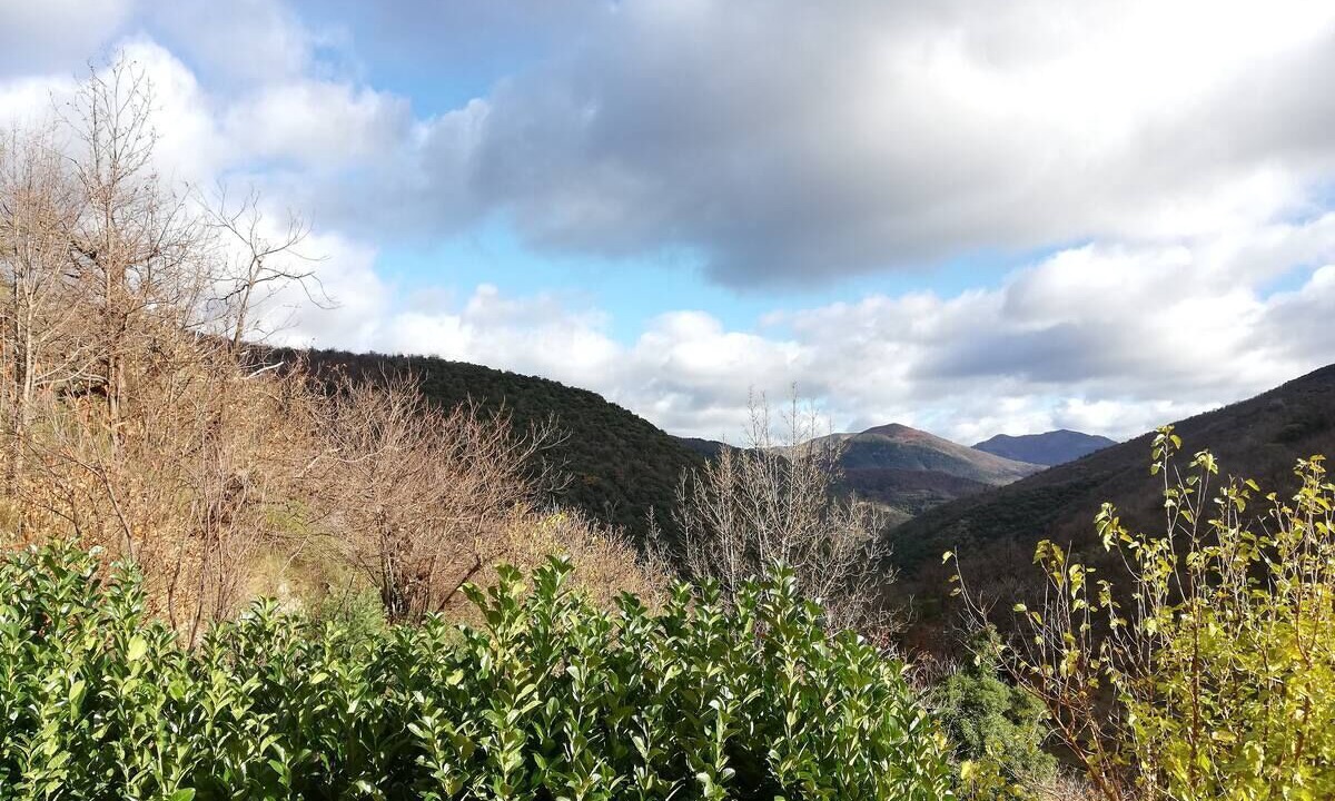 Photo of Outdoor in Valleraugue