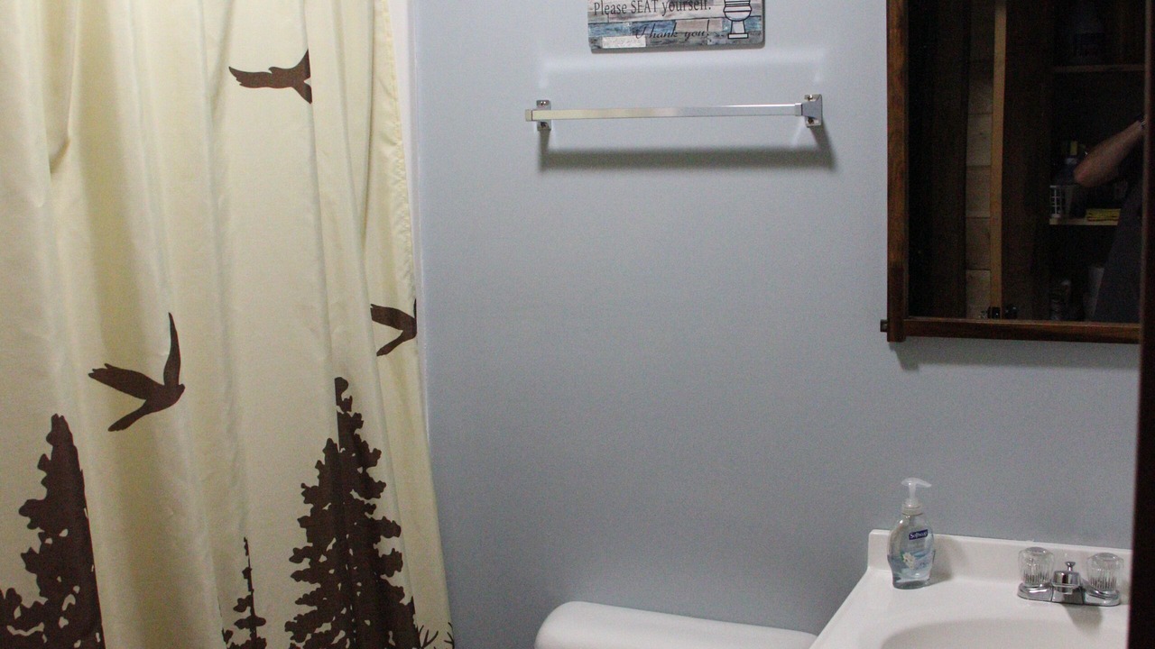 Photo of Bathroom in Mineral Bluff