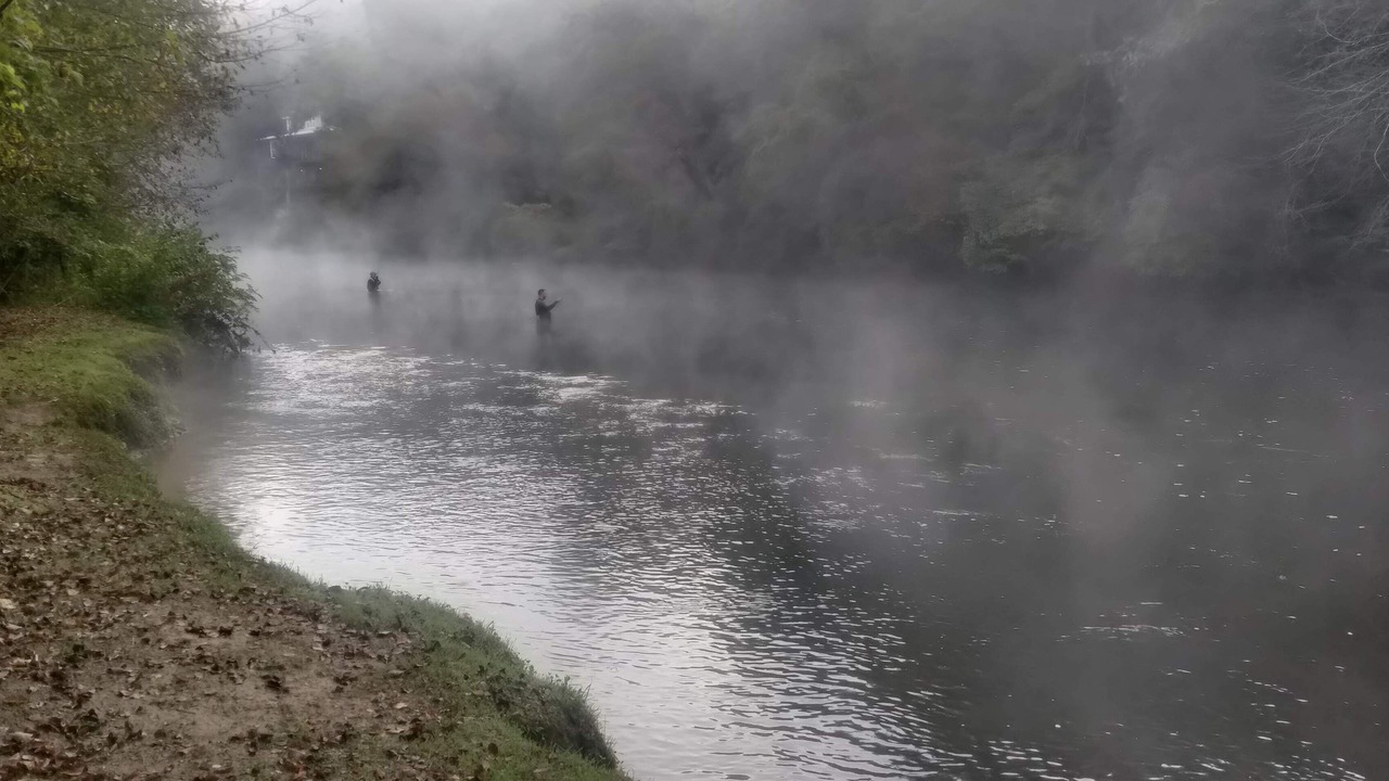 Photo of Others in Mineral Bluff