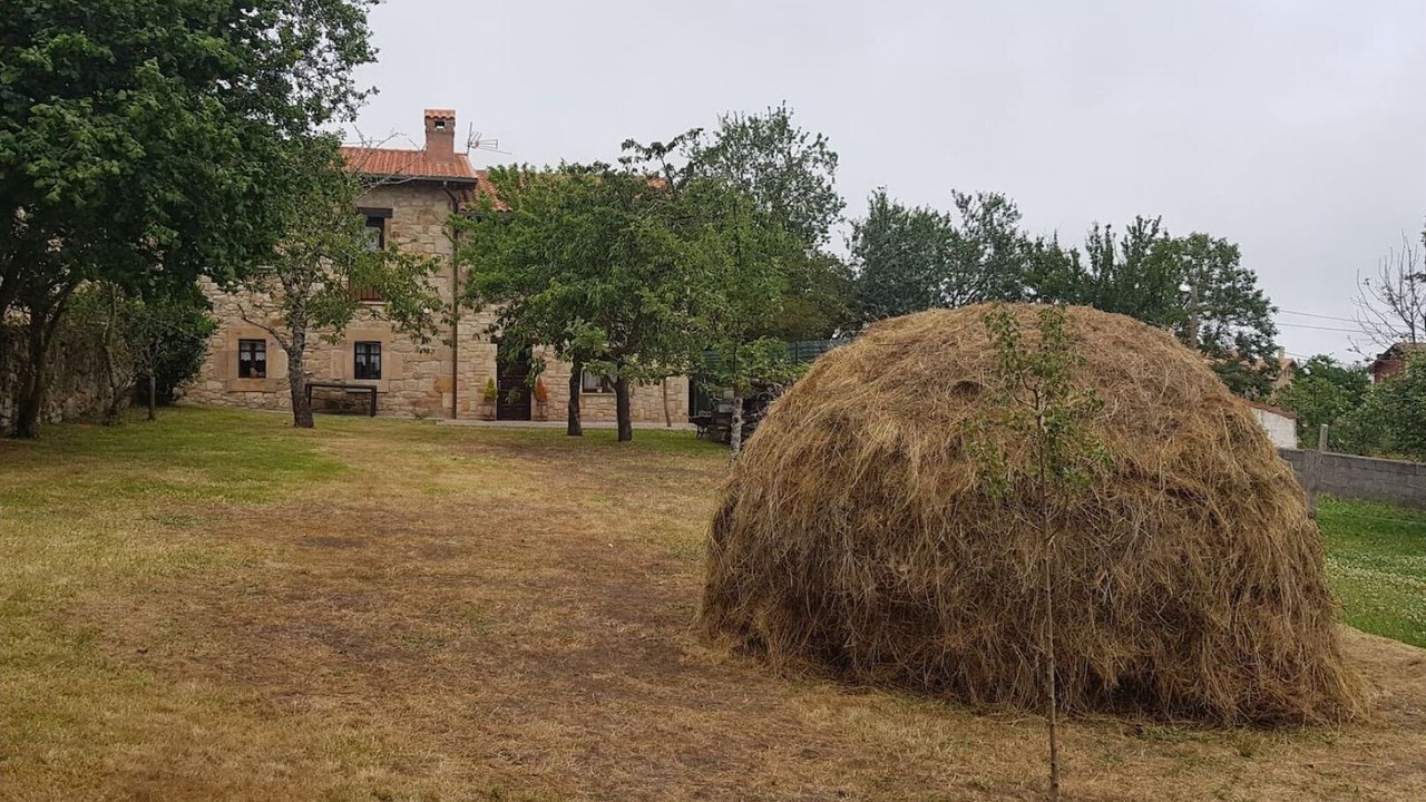 Photo of Outdoor in Las Rozas