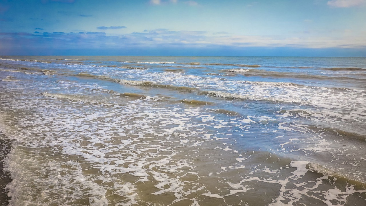 Photo of Others in Galveston