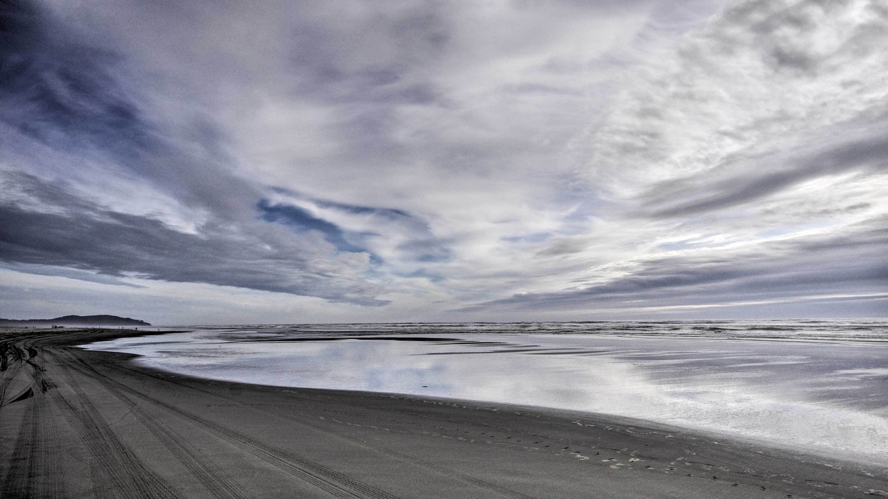 Photo of Others in Long Beach