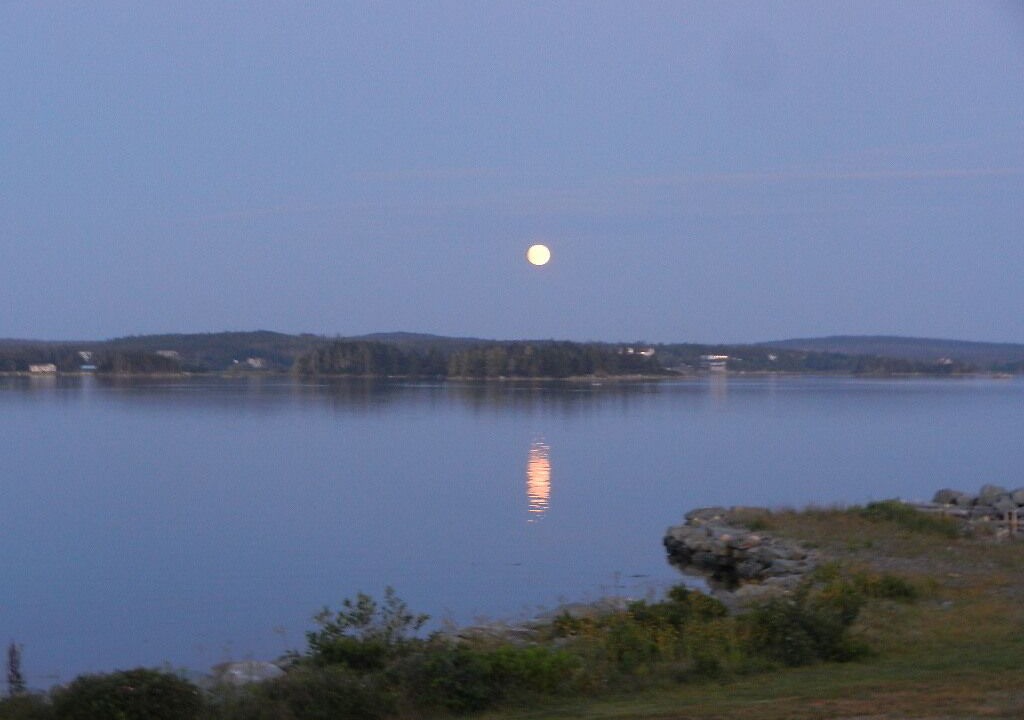 Photo of Others in Halifax County