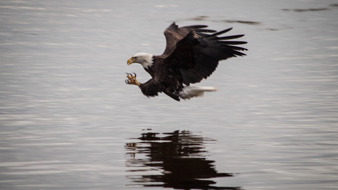 Photo of Others in Halifax County