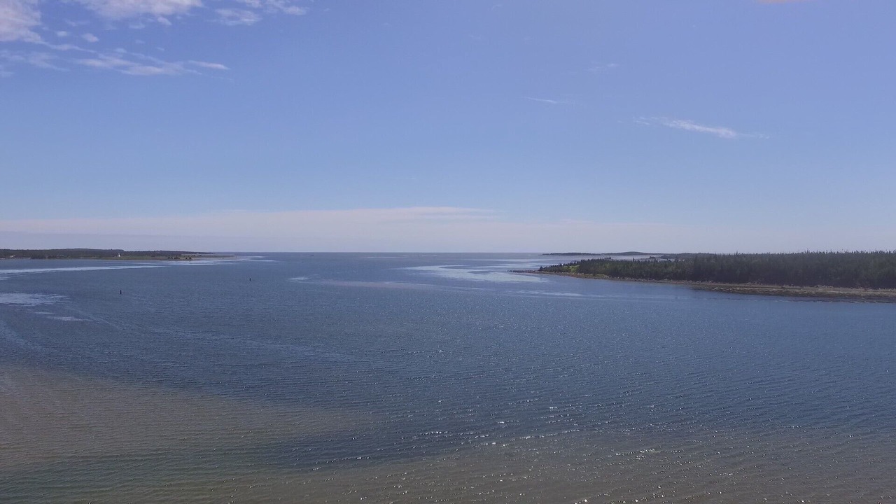 Photo of Others in Halifax County