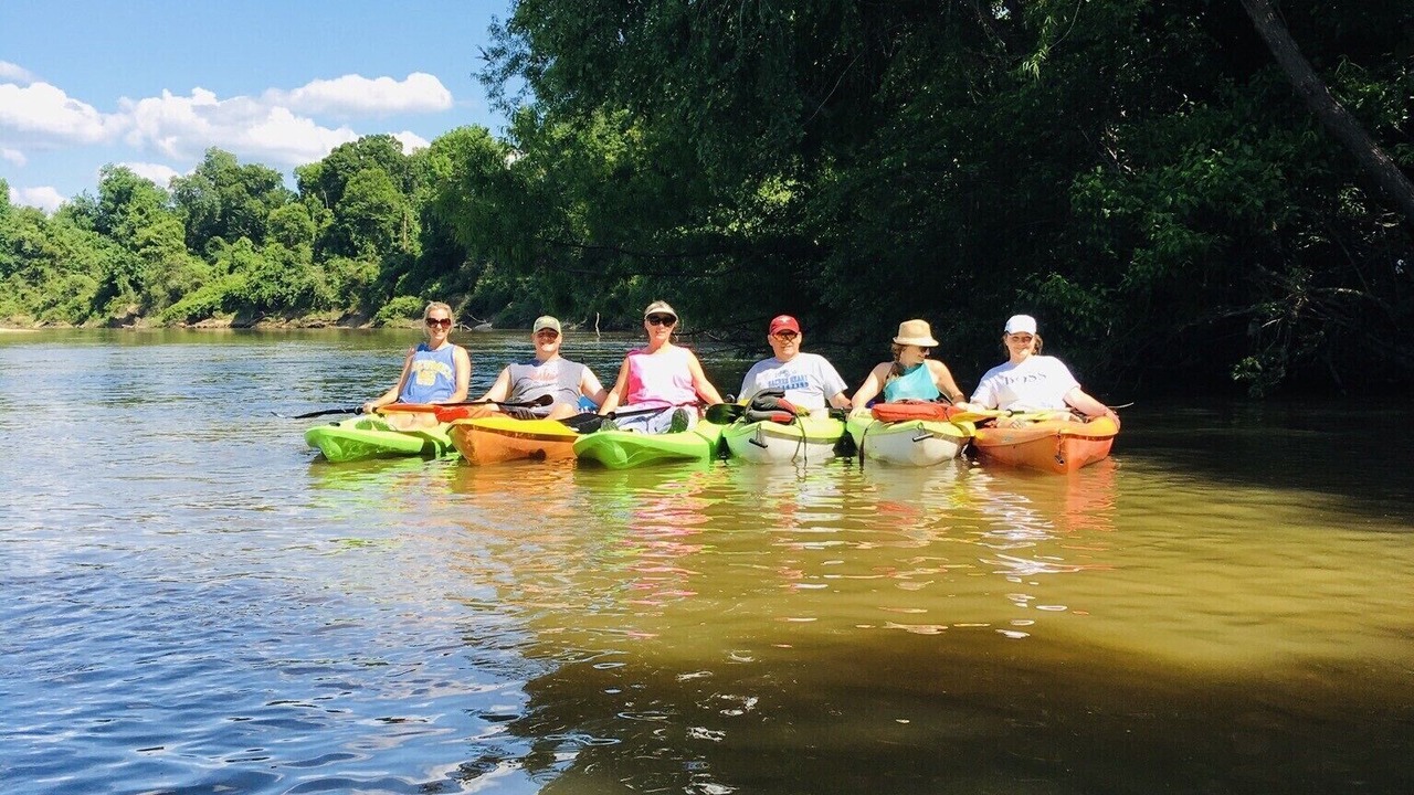 Photo of Others in Petal