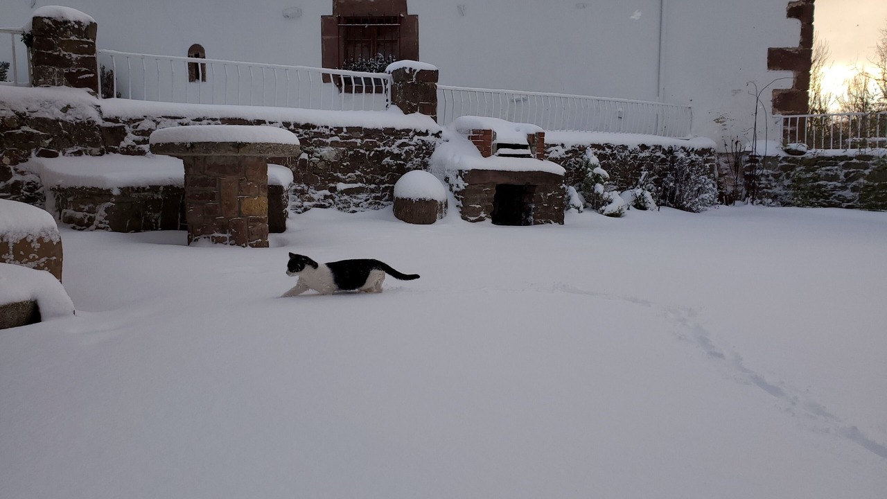 Photo of Outdoor in Suano