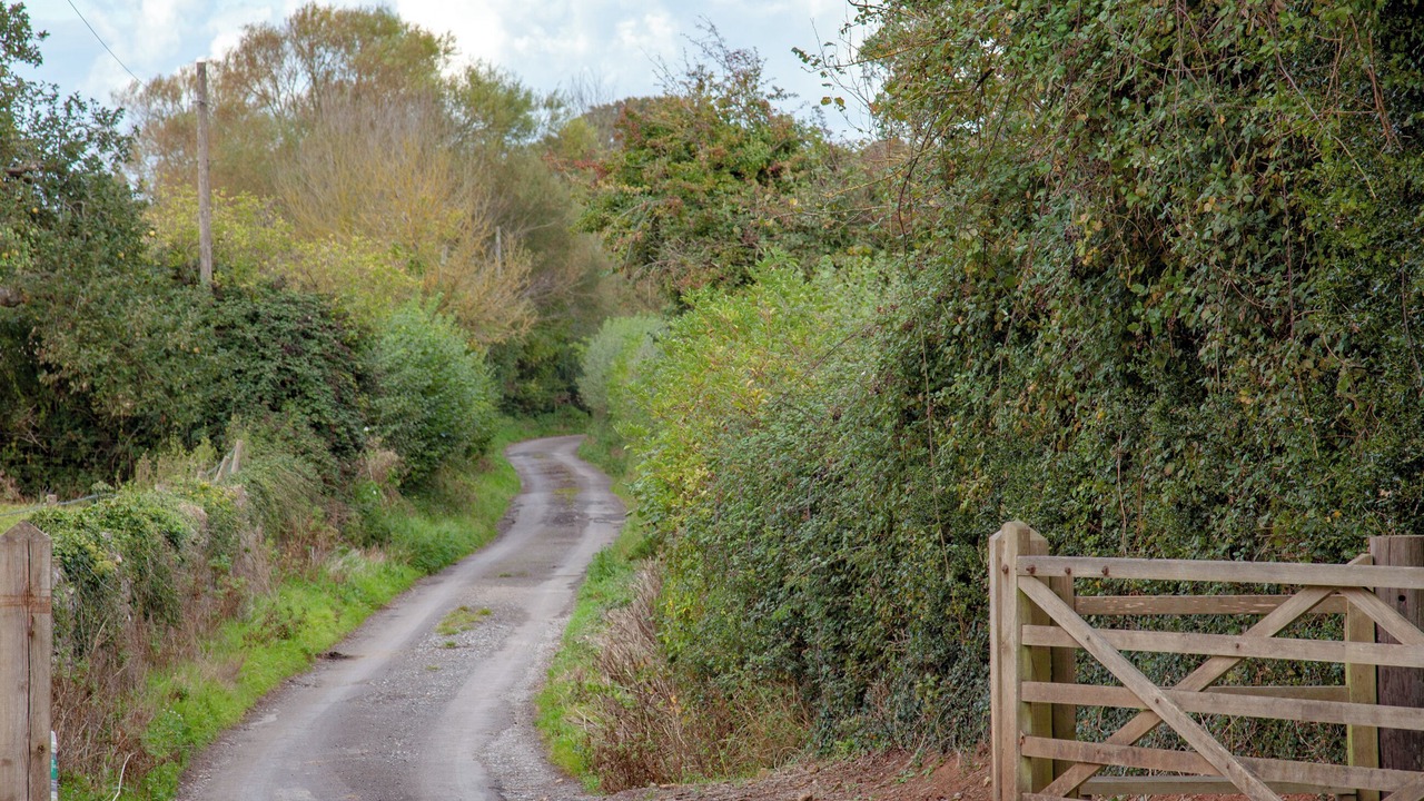 Photo of Others in Hewish