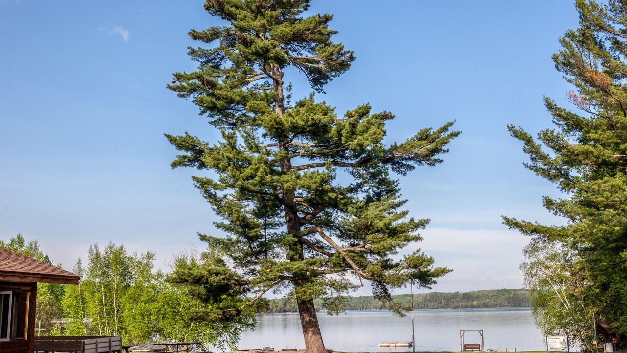 Photo of Outdoor in Deer River