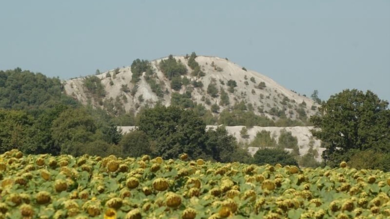Photo of Others in Nozay