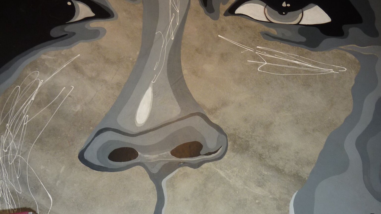 Photo of Bedroom in Villeneuve-de-Riviere