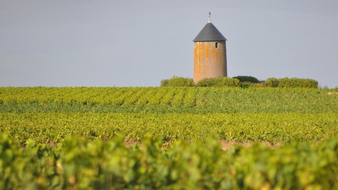 Photo of Others in Le Landreau