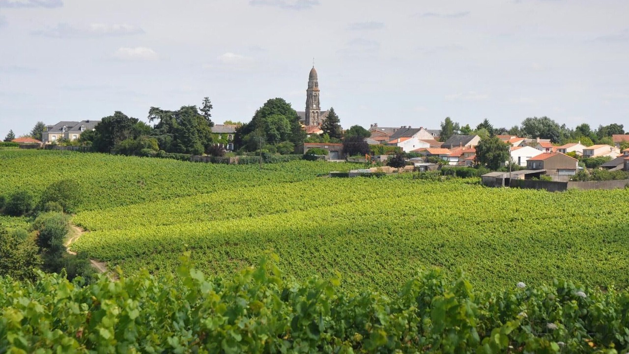 Photo of Others in Le Landreau