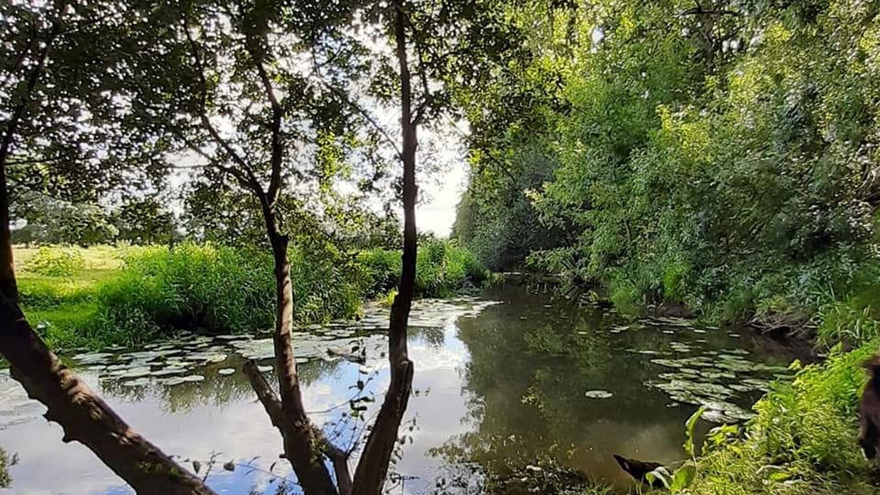 Photo of Outdoor in Vallons-de-l'Erdre