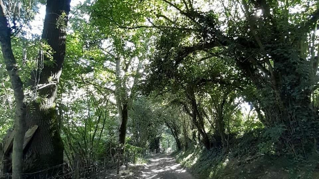 Photo of Outdoor in Vallons-de-l'Erdre