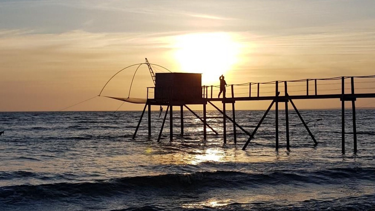 Photo of Others in Bourgneuf-en-Retz