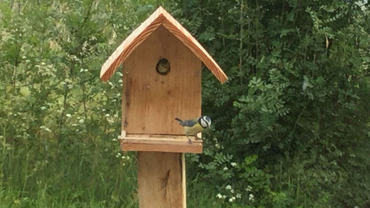 Photo of Others in Bourgneuf-en-Retz