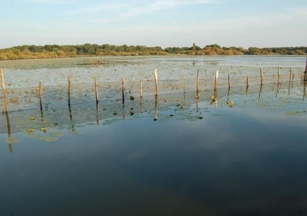 Photo of Outdoor in Touvois