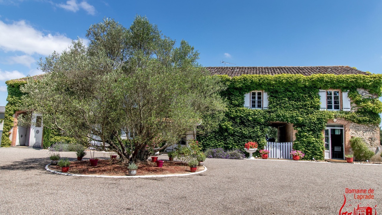 Photo of Outdoor in Graulhet