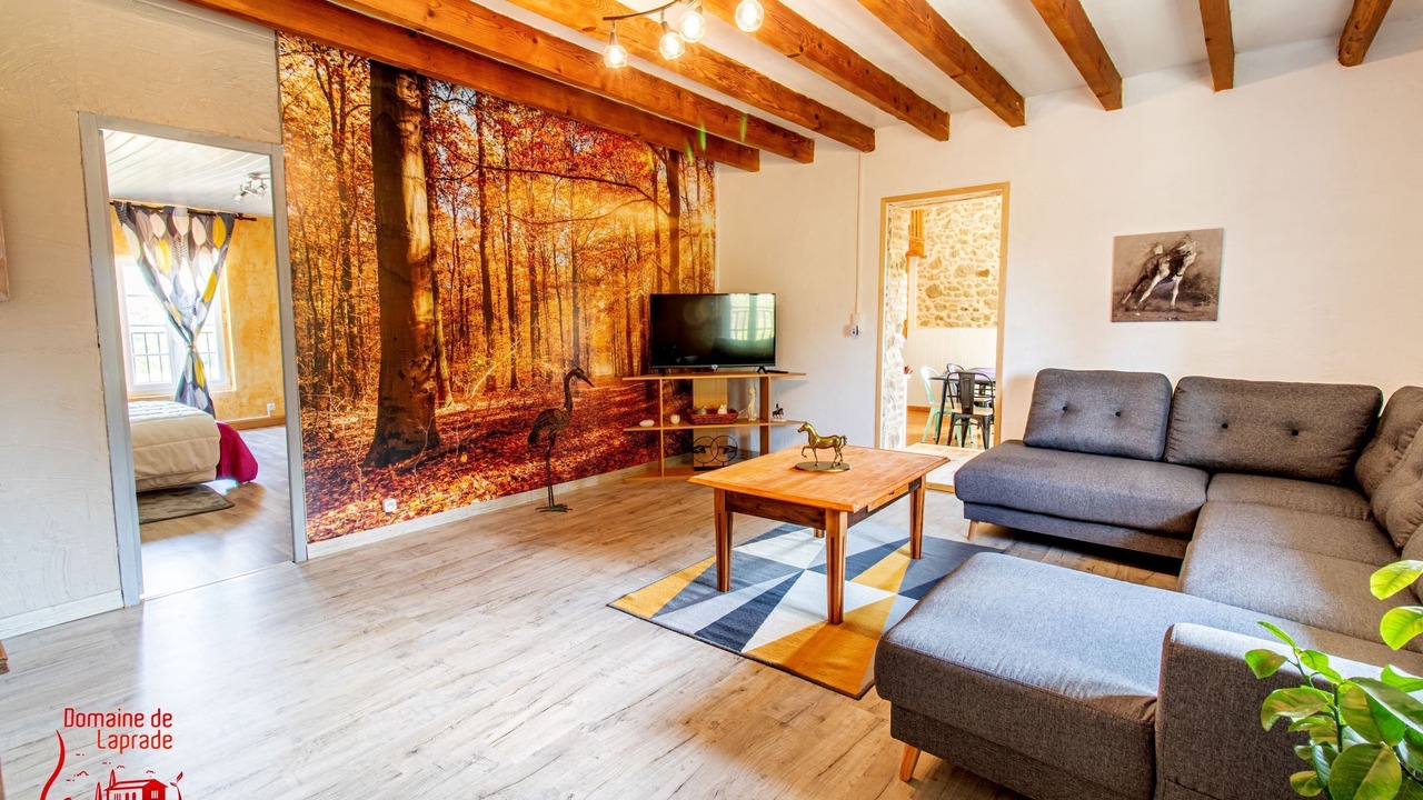 Photo of Livingroom in Graulhet
