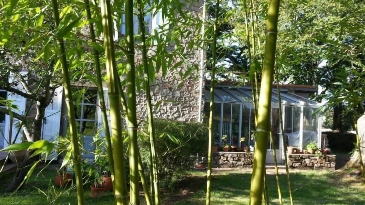 Photo of Outdoor in Saint-Pere-en-Retz