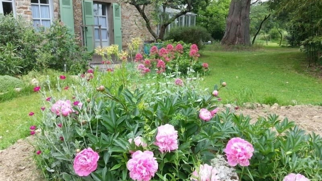 Photo of Outdoor in Saint-Pere-en-Retz